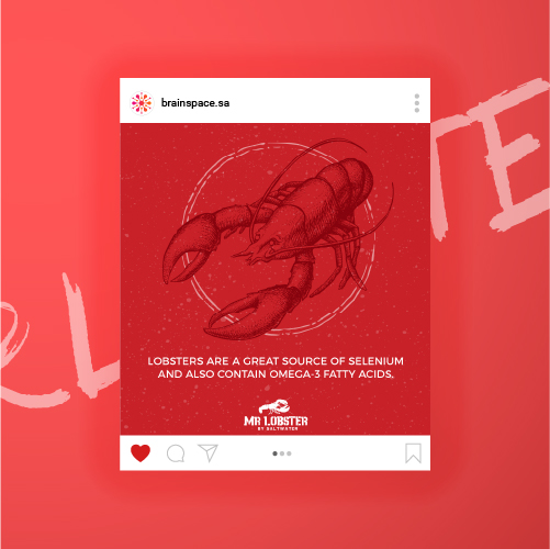 Mr.Lobster Socialmedia