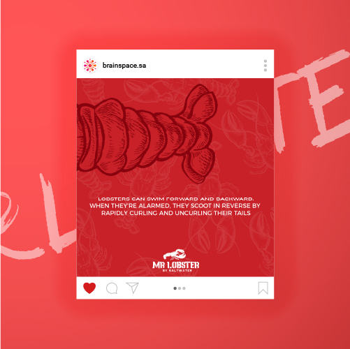 Mr.Lobster Socialmedia